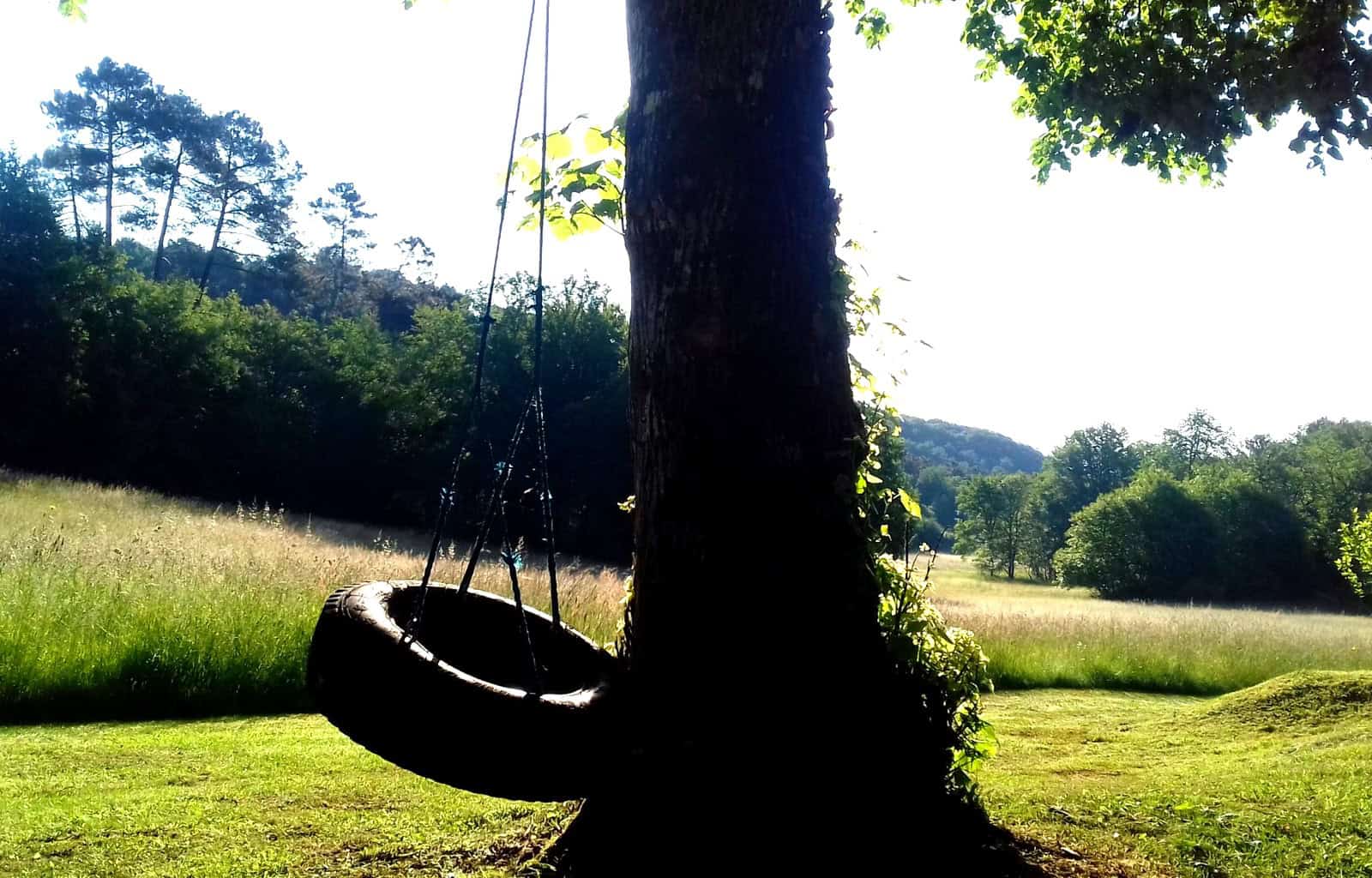 Swing hanging from a tree in a lush green park.